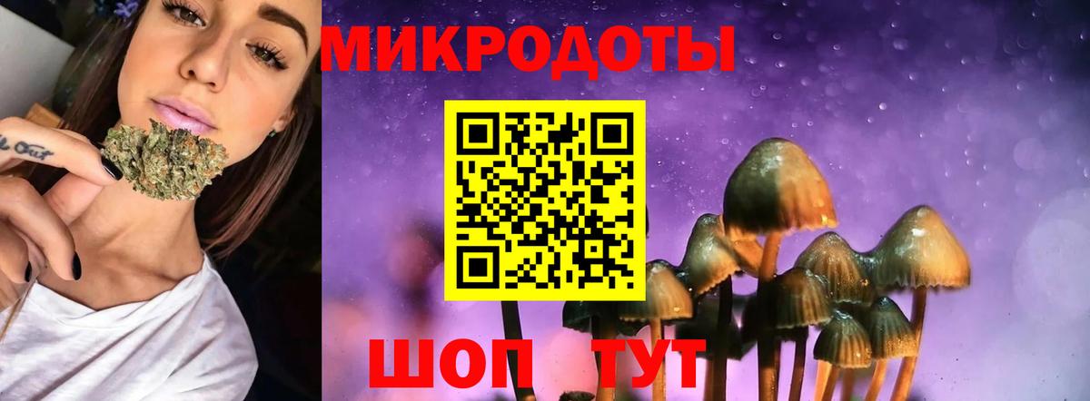 Галлюциногенные грибы Psilocybine cubensis  Вход с VPN  Новоалександровск  Псилоцибиновые грибы прущие грибы 